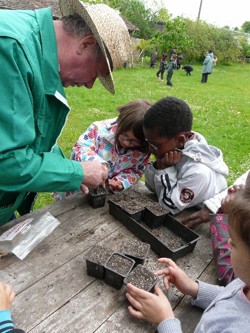 Je dépose les graines de courges dans le godet